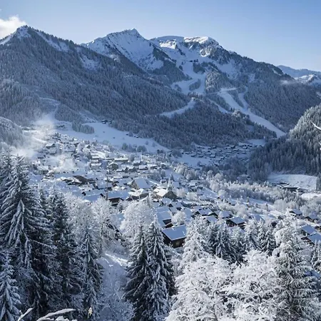 Orchidee Od5 Nature & Telecabine 4 Pers Châtel